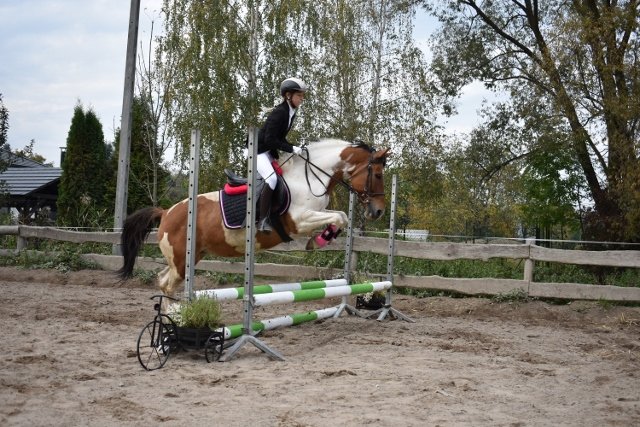 bABIE lATO 2018